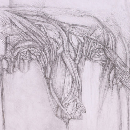 Pencil sketch of a horse's head with detailed mane on a white background