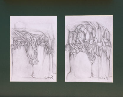 Two pencil drawings of abstract tree-like figures on a dark green background.