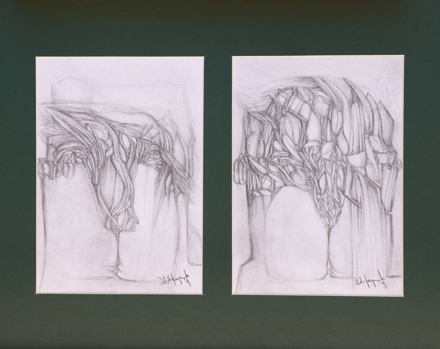 Two pencil drawings of abstract tree-like structures on a dark green background.