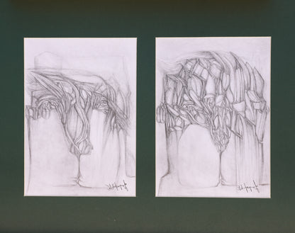 Two pencil drawings of abstract tree-like structures on a dark green background.