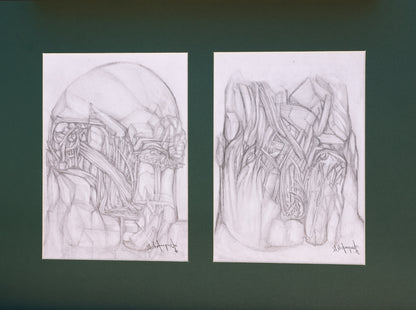Two pencil sketches on white paper against a dark green background