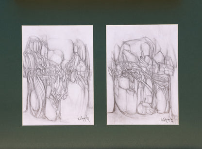 Two pencil drawings of abstract organic shapes on a green background