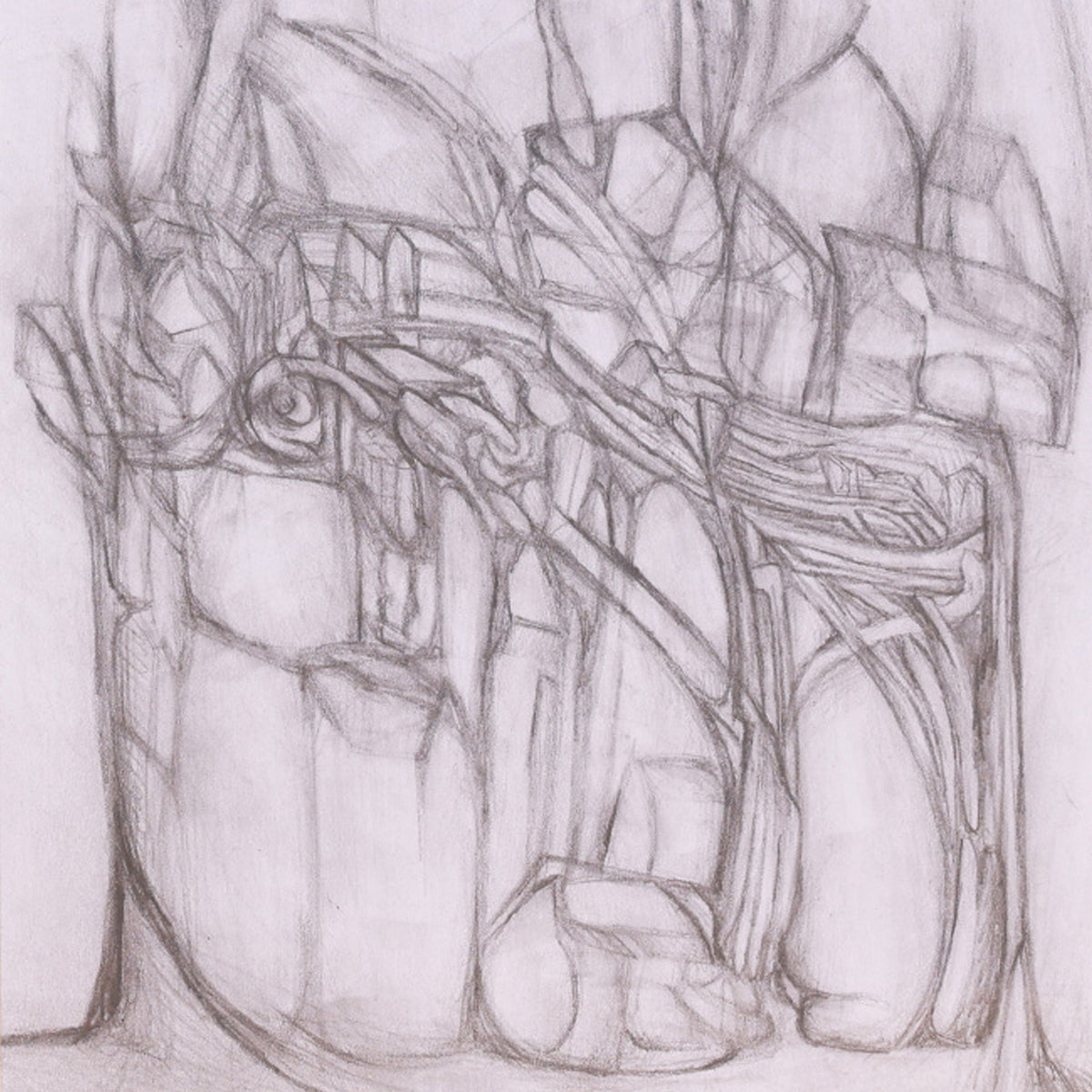 Abstract pencil drawing of intertwined branches and shapes on a light gray background