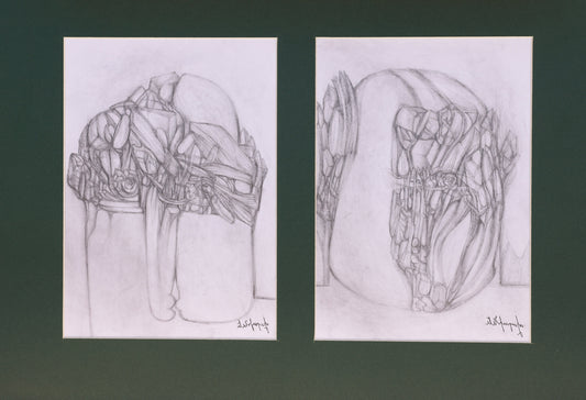 Two black and white line drawings of a shoe on a dark background