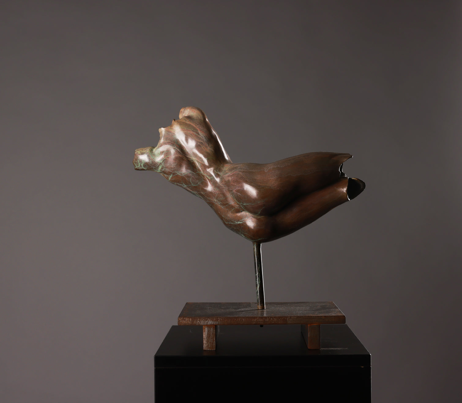 Bronze sculpture of a hand on a dark gray background