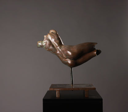 Bronze sculpture of a hand on a dark gray background