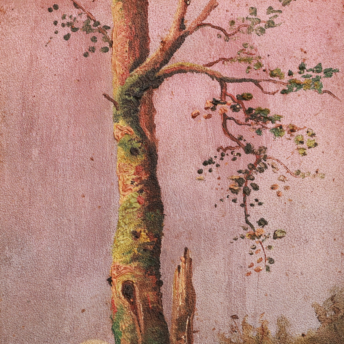 Artistic depiction of a tree with a textured pink background