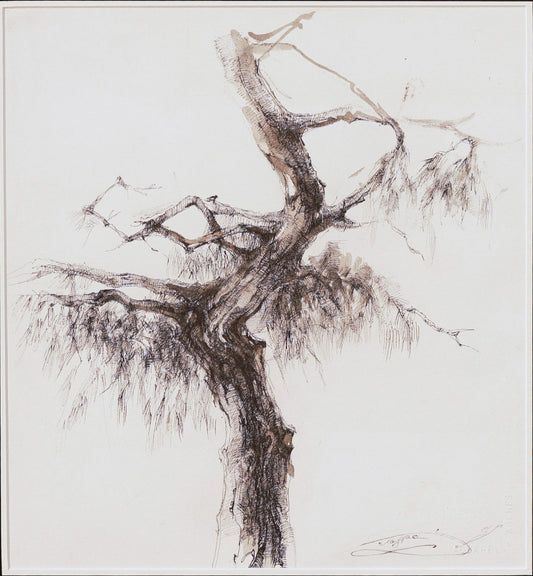 Artistic depiction of a willow tree with flowing branches on a white background